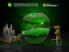 ƻϵͳ Windows XP SP3 ͨרҵ V2021.08